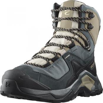 Salomon - Botas de montaña de mujer Quest Element GTX, GORE-TEX, color multicolor (Ebony/Rainy Day/Stormy Weather), talla 42(2/3) EU