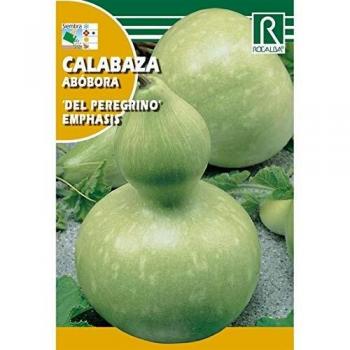 Semilla Calabaza del Peregrino