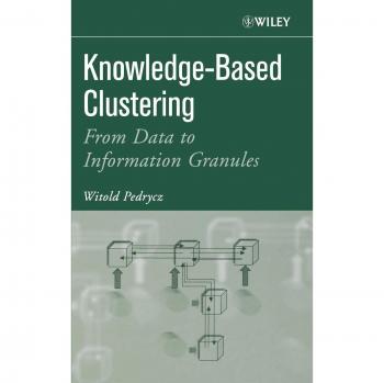 Clustering Basado en Conocimiento - Cubierta Dura: De Datos a Gránulos de Información