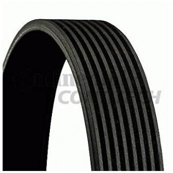 Correa acanalada en V CONTITECH 8PK1215, Correa trapecial poli V CONTITECH 8PK1215