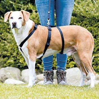 Arnés Guía Stay Antiescape Trixie para Perros, Tamaño S-M: 40-65 cm de Pecho, 15 mm de Ancho