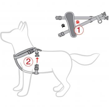 EzyDog – Placa de pecho arnés, Marrón