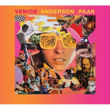 Venice vinilo 2