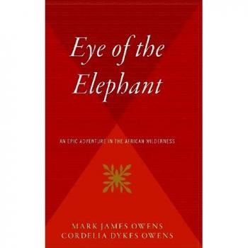 The Eye of the Elephant