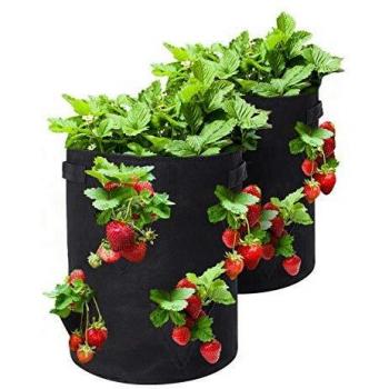 Tvird Bolsa para Plantas, 10Gallon Strawberry Plant Grow Bolsa con Asas, Bolsa Transpirable y Durable para Papas, Tomates y Fresas, Paquete de 2