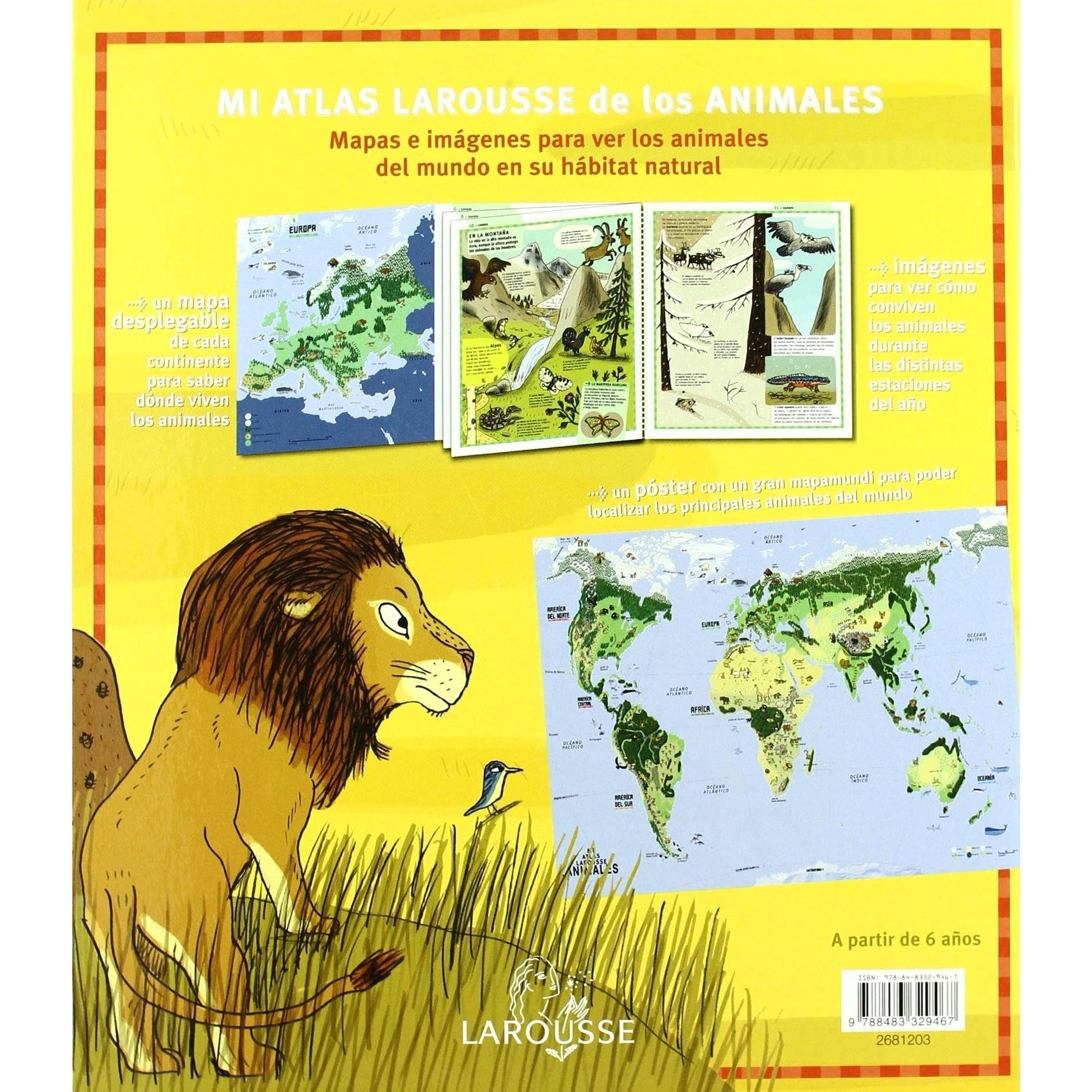 Imagen Principal