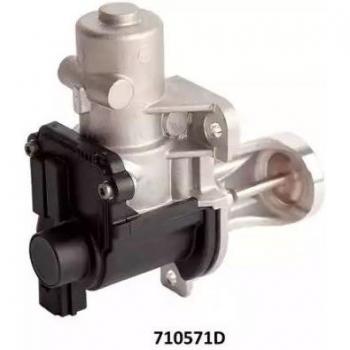 Válvula EGR BorgWarner Wahler 710571D