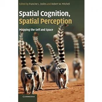 Cognición Espacial y Percepción Espacial: Mapeo del Yo y el Espacio
