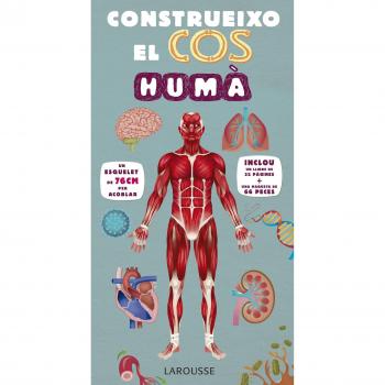 Construeixo el cos humà