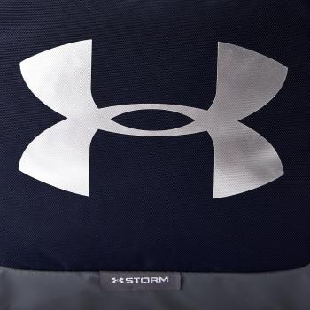 Under Armour UA Undeniable Duffle 3.0 LG Bolsa Deportiva, Unisex Adulto, Azul
