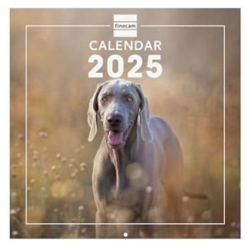 Calendario de Pared Internacional 2025 - Imágenes de Perros - Finocam (Enero 2025 - Diciembre 2025, 12 meses, 30x30 cm)