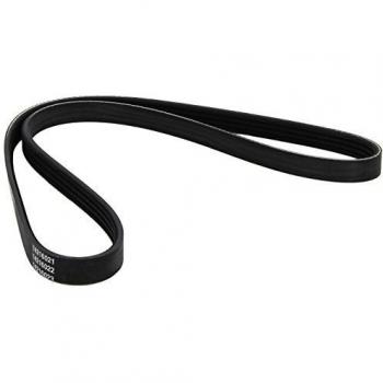 Dayco 4PK968 Correa Trapecial Poli V