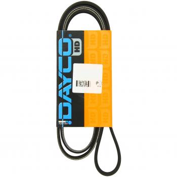 Correa trapecial poli V DAYCO 5PK1535HD - Correa de transmisión, tipo V-ribbed, longitud 1535 mm, 5 canales, alta durabilidad y resistencia