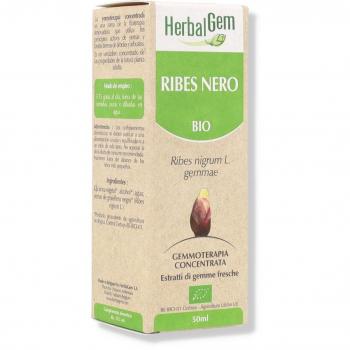 Grosellero Negro Extracto Glicerinado 50ml Bio