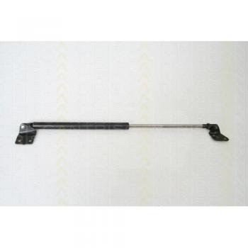 Gasfeder, Koffer-/Laderaum 8710 69216