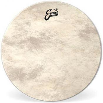 Evans 56 Calftone 20 Bass Drum Head - Traditional Sound and Warmth