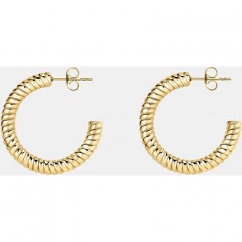 Pendientes de aro Creole de acero dorado