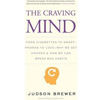 The Craving Mind: From Cigarettes to Smartphones to Love - Why We Get Hooked and How We Can Break Bad Habits