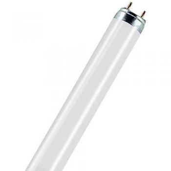 Osram Lámpara Fluorescente, 54 W