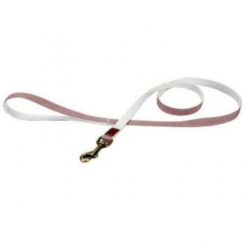 Beeztees K&Bz Dbl Nyl Leash Virante Lpink 120X25 300 g
