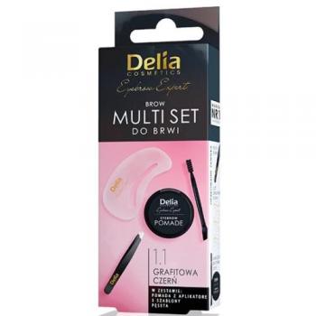 Delia Cosmetics Eyebrow Expert Zest Brow Kit Shade 1.1 Graphite Black 1 pc