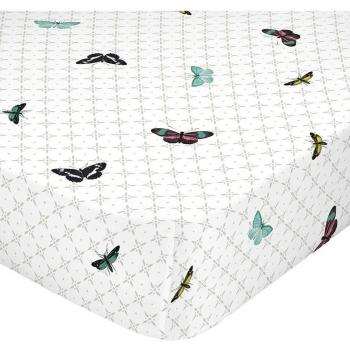 Bajera Birds of Paradise 100% Algodón 150 TC fabricada en España