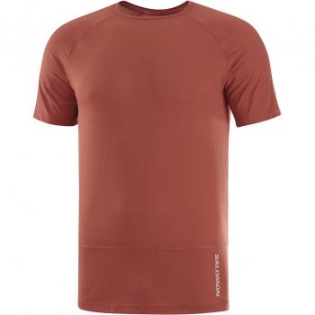 Camiseta de hombre Cross Run Salomon