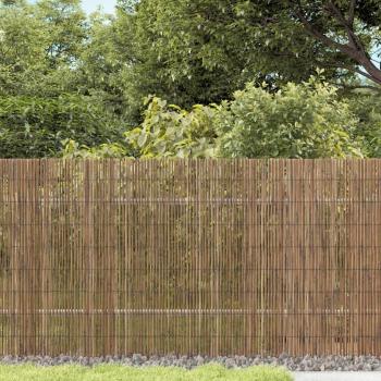 vidaXL 236.2x31.5 Reed Garden Fence
