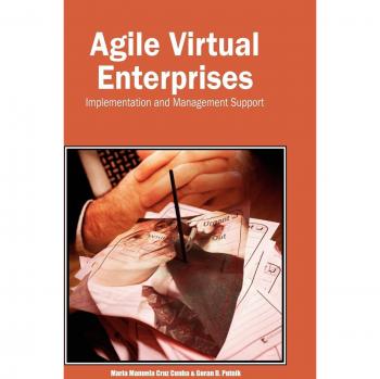 Empresas Virtuales Ágiles: Implementación y Soporte de Gestión (Tapa Dura)