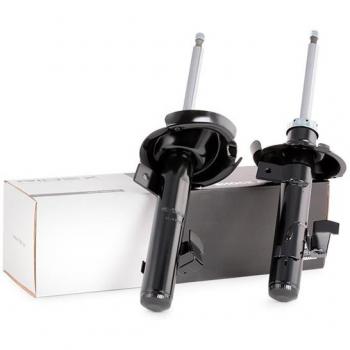 RIDEX 854S1542 Amortiguador, Set de 2