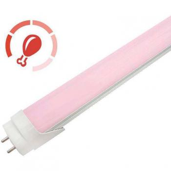 Tubo LED T8 especial Carnicerias 9W 60cm Rosa/Magenta