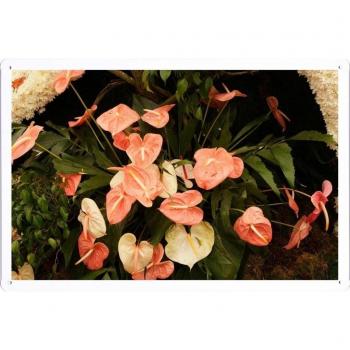 Metal cartel Cartel de chapa Hojalata sesión Flower Tin Sign Anthurium Flower Leaves Herbs 34034 Retro Vintage Pared Decoración by hamgaacaan