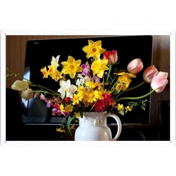 Metal cartel Cartel de chapa Hojalata sesión Flower Tin Sign Tulips Daffodils Hyacinths Flowers Bouquets Pot Monitor 43519 Retro Vintage Pared Decoración by hamgaacaan