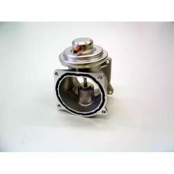 Válvula EGR BorgWarner Wahler 7268D