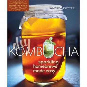 Easy Sparkling Kombucha Homebrew Kit by Andrea Potter