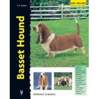 Basset Hound