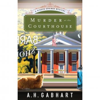 Murder at the Courthouse: A Hidden Springs Mystery