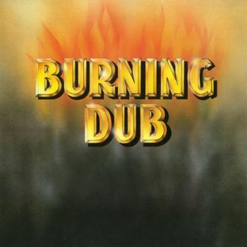 Vinyl Burning Dub Record