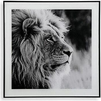 BigBuy Home S3403660 Cuadro Cristal, León, 2 x 50 x 50 cm