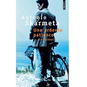 Une ardente patience