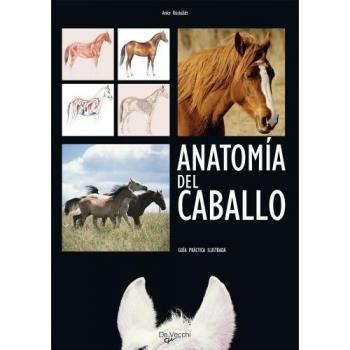 Anatomía del caballo