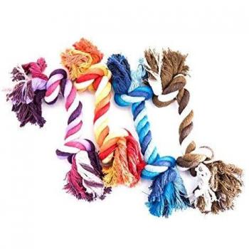 Cuerda para perro de 2 nudos Martin Sellier con collar y correa