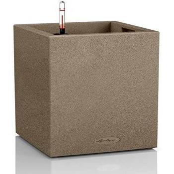 Lechuza Square Canto, Beige Arena, 30x30x30 cm