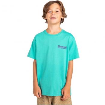 Camiseta Element Sunup Ss