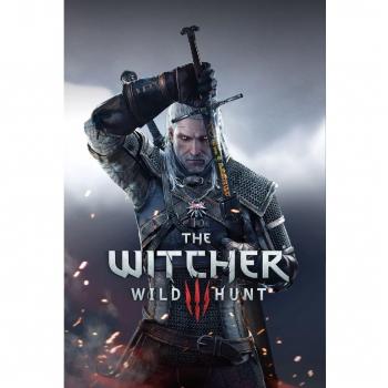 24x36 inch The Witcher 3 Wild Hunt Silk Poster Seda Cartel 9GS2-809