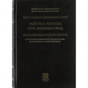 PRACTICA PROCESAL CIVIL INTERNACIO
