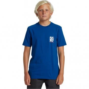Quiksilver Camiseta de Niños Surf Boe