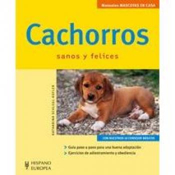 Cachorros