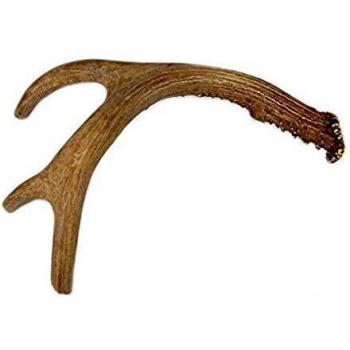 Astas de Ciervo Antlers XXL
