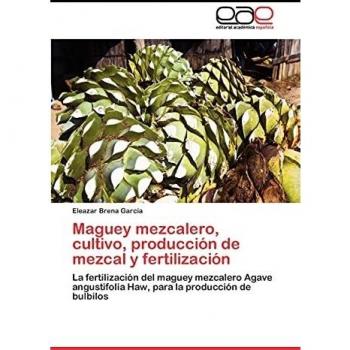 Maguey mezcalero, cultivo, producción de mezcal y fertilización
